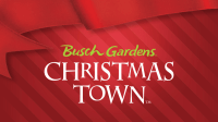 Photo courtesy: Busch Gardens 