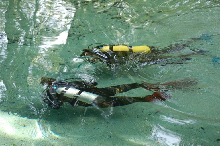 scuba camps tampa1 768x510