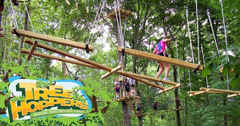 large treehopropescourse 768x403