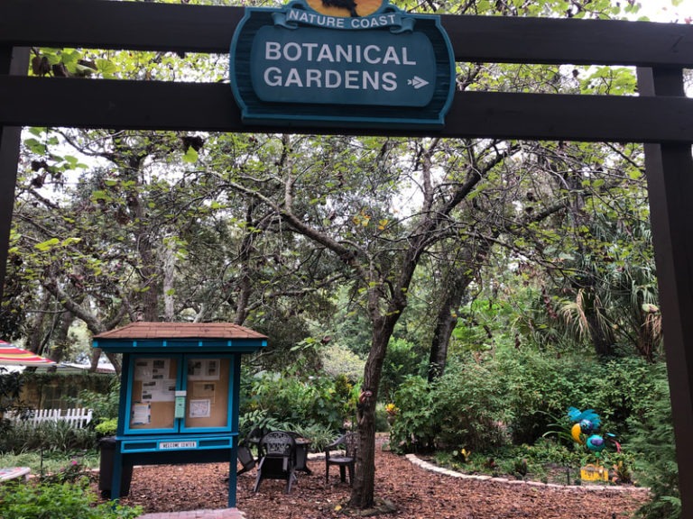 Botanical Garden 768x576