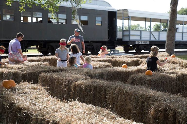 Florida Railroad Musuem Pumpkin Patch 768x512