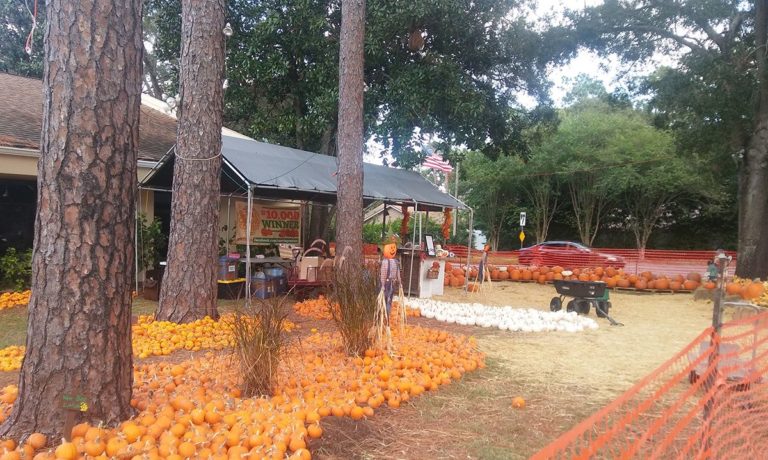 Heritage United mthodist Church Pumpkin Patch 768x460