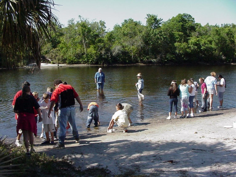 camp bayou 1 768x576