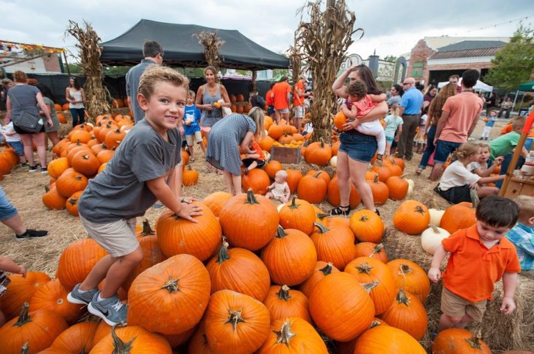 hyde park pumpkin patch seminole heights 768x510