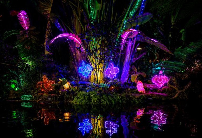 Marie Selby Gardens Holiday Light Show 1 768x526