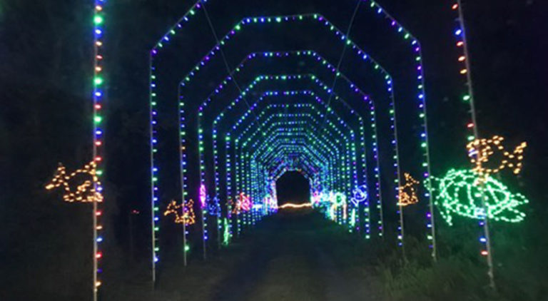 Shimmering Lights 768x422