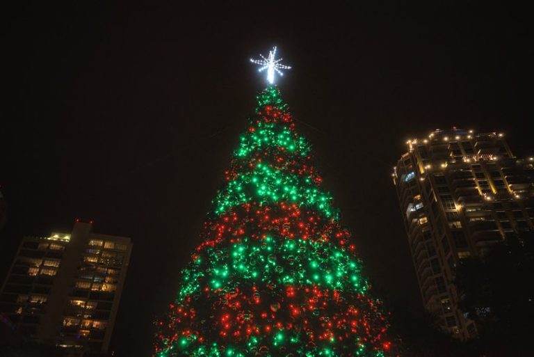St. Pete Holiday Lights 768x513