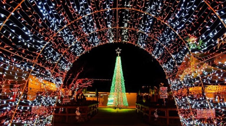 Wesley Chapel festival Santa 768x431