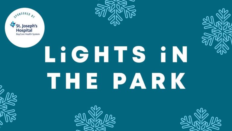 lights in the park 1 1 768x432