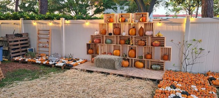 pumpkin patch kirk Church Dunedin 768x346