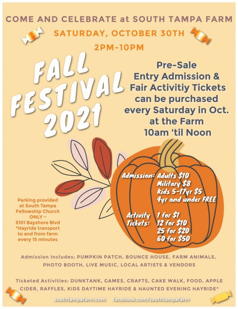 South Tampa Farm Fall Festival 1 768x994