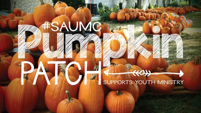 St. Andrews UMC Church Pumpkin Patch Brandon FL 768x432