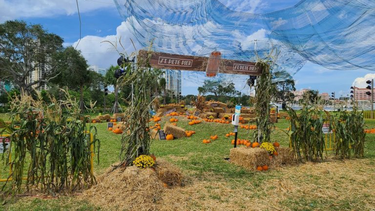 St. Pete Pier Pumpkin Patch 768x432