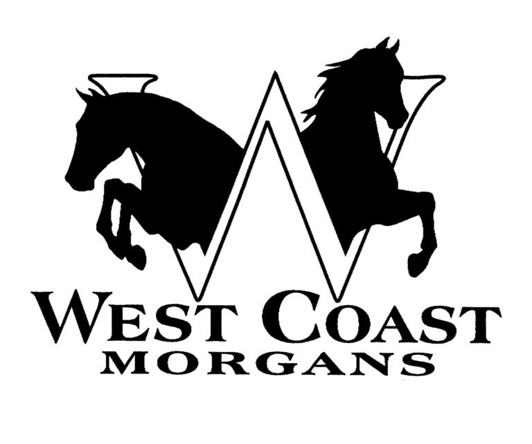West Coast Morgan 768x642