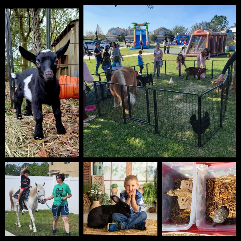nOE wORRIES rANCH 768x768