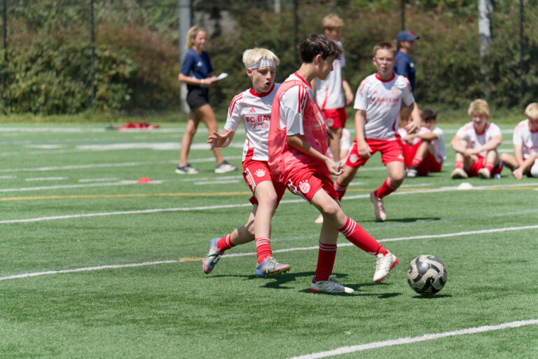 DSC00457 DxO 768x512