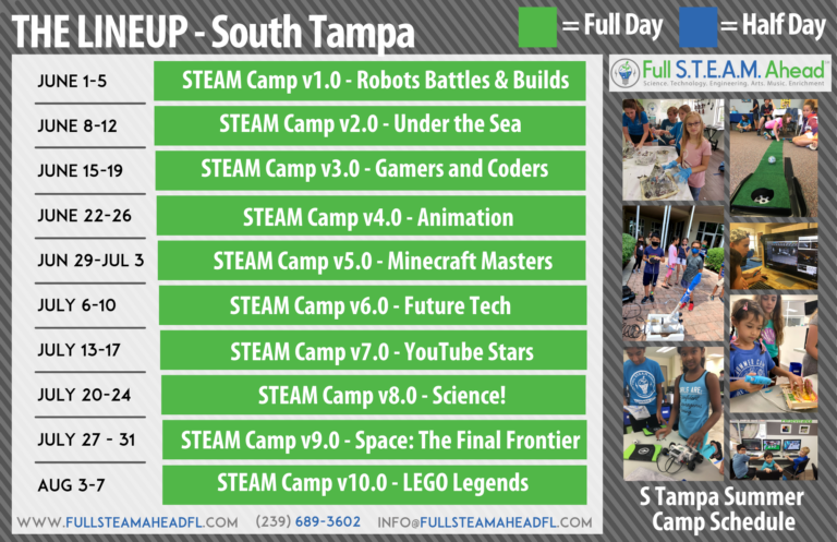 South Tampa Single Page Flyer 1 768x497