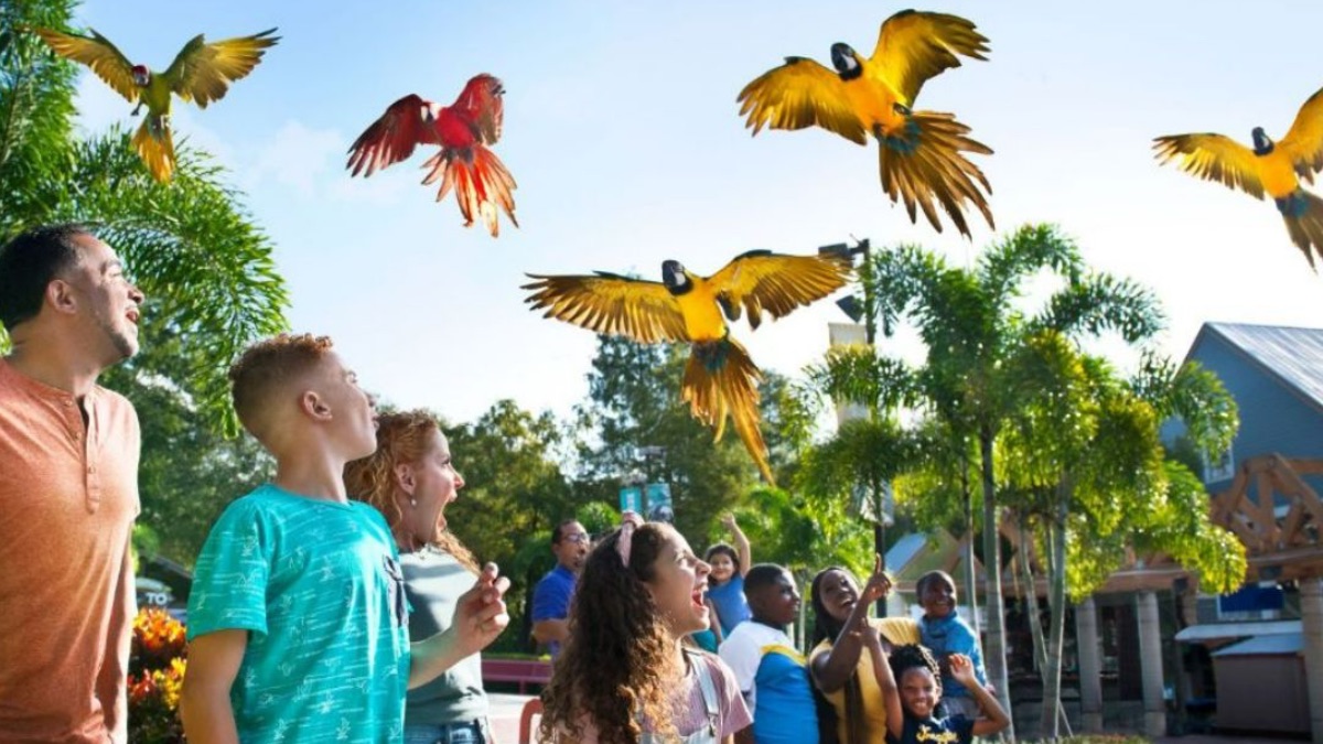 ZooTampa_MacawFlyover-jc6dgF